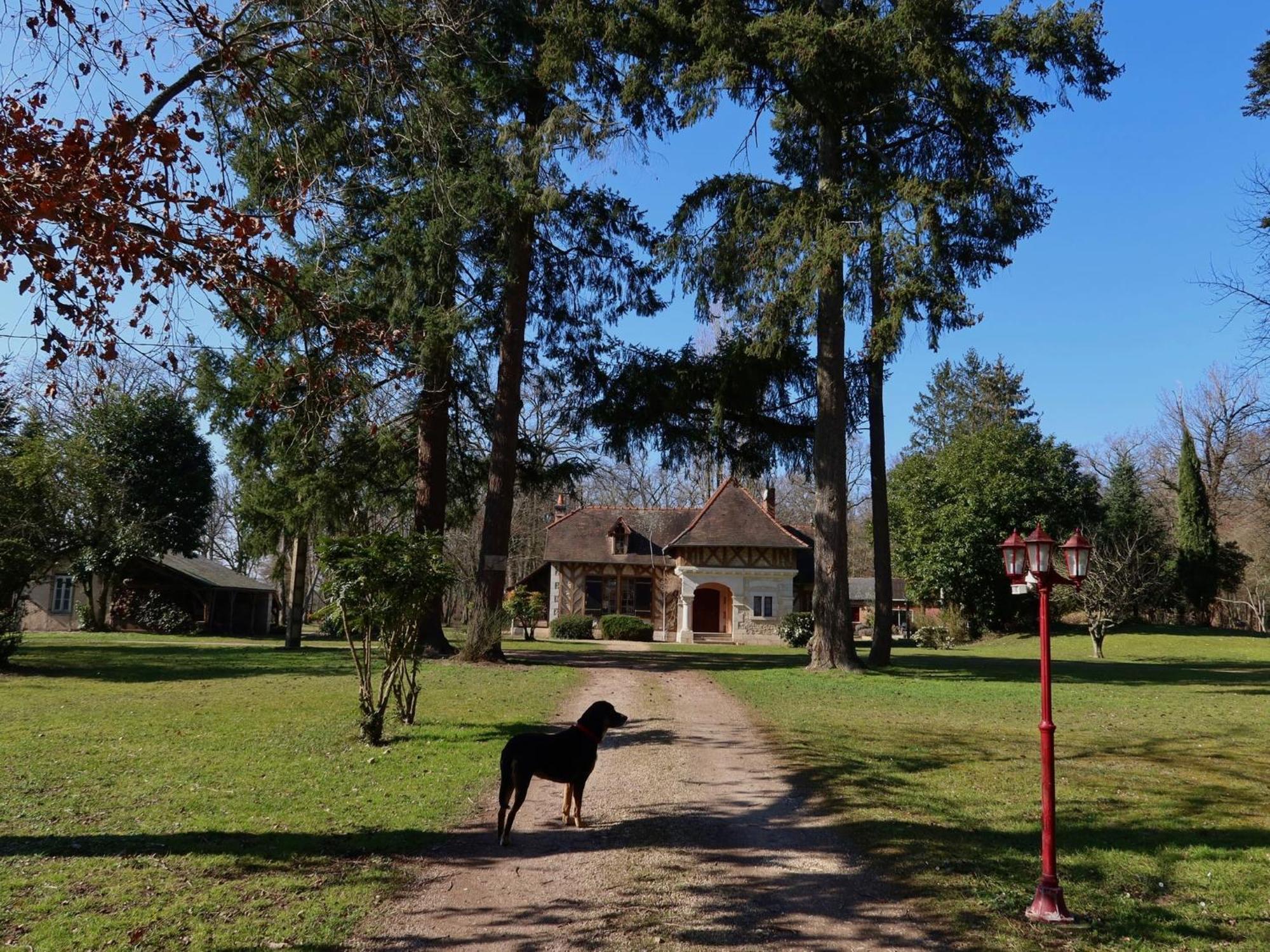 La Faisanderie Saint-Florent-sur-Cher Exteriér fotografie