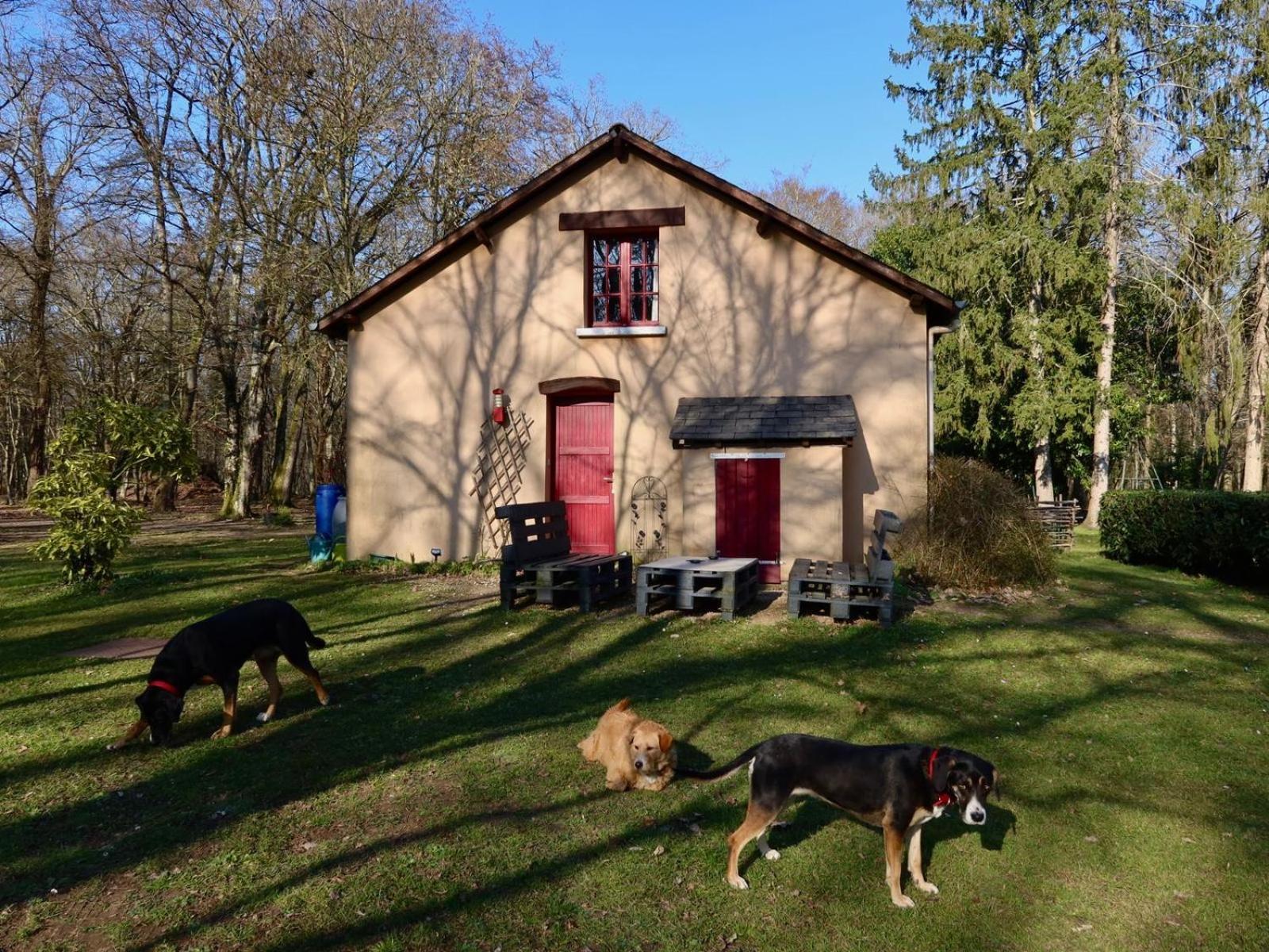 La Faisanderie Saint-Florent-sur-Cher Exteriér fotografie